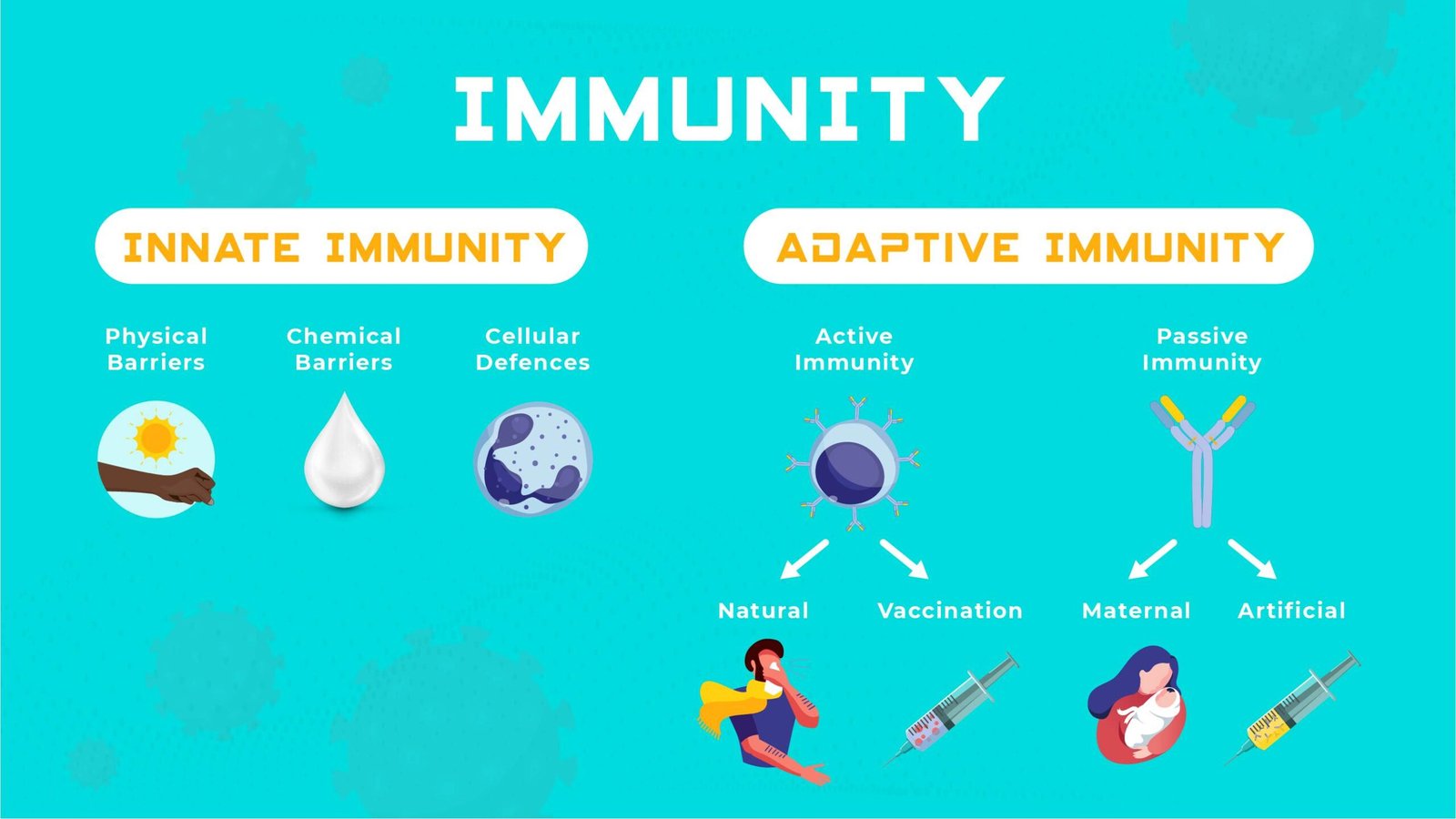 types of innate imunity