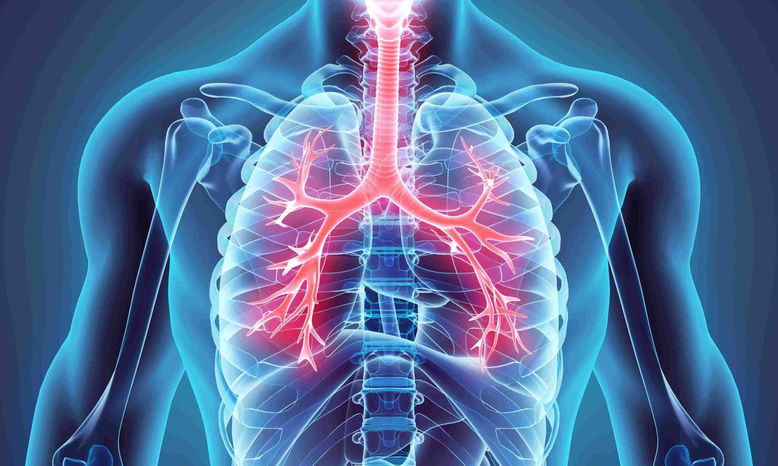 Difference Between Lung Cancer And Emphysema