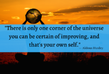"There is only one corner of the universe you can be certain of improving, and that