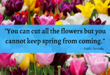 "You can cut all the flowers but you cannot keep spring from coming." - Pablo Neruda