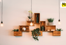 On a white wall wooden rectangular shelves hold attractive plants and 3 industrial lightbulbs hang from the ceiling above