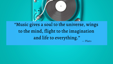 "Music gives a soul to the universe, wings to the mind, flight to the imagination and life to everything." - Plato