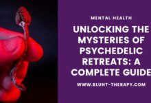 Unlocking the Mysteries of Psychedelic Retreats: A Complete Guide