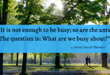 “It is not enough to be busy; so are the ants. The question is: What are we busy about?” - Henry David Thoreau