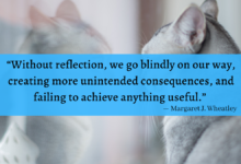 "Without reflection, we go blindly on our way, creating more unintended consequences, and failing to achieve anything useful." - Margaret J. Wheatley