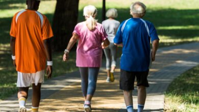 back view of retired multicultural pensioners in sportswear walking in walkway in park