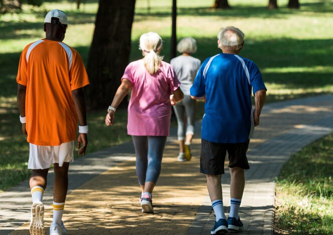 back view of retired multicultural pensioners in sportswear walking in walkway in park