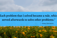 "Each problem that I solved became a rule, which served afterwards to solve other problems." - Rene Descartes